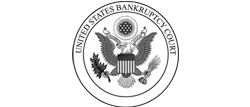 US Bankruptcy Courts